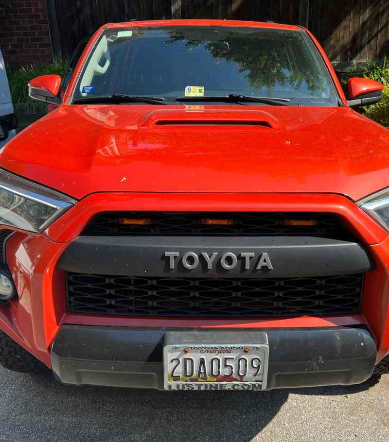 Auto Detailing 